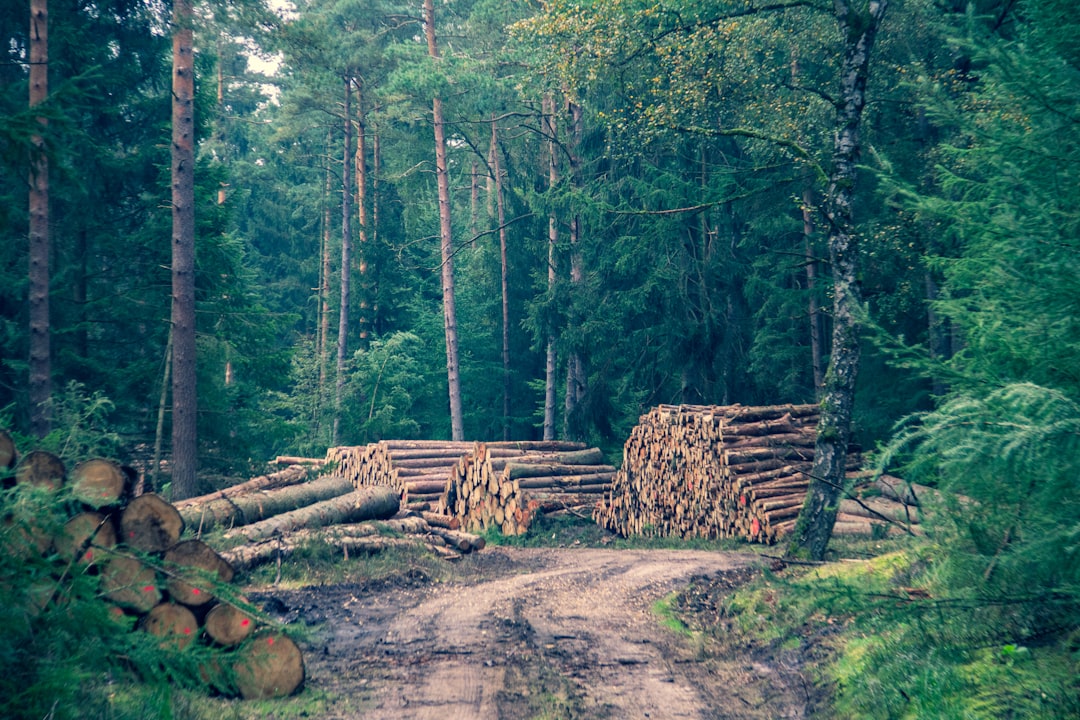 ElasticSearch, incident response, retention policy