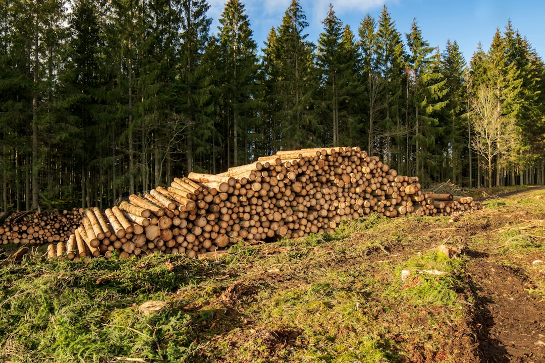 ElasticSearch, retention policy, audit logs