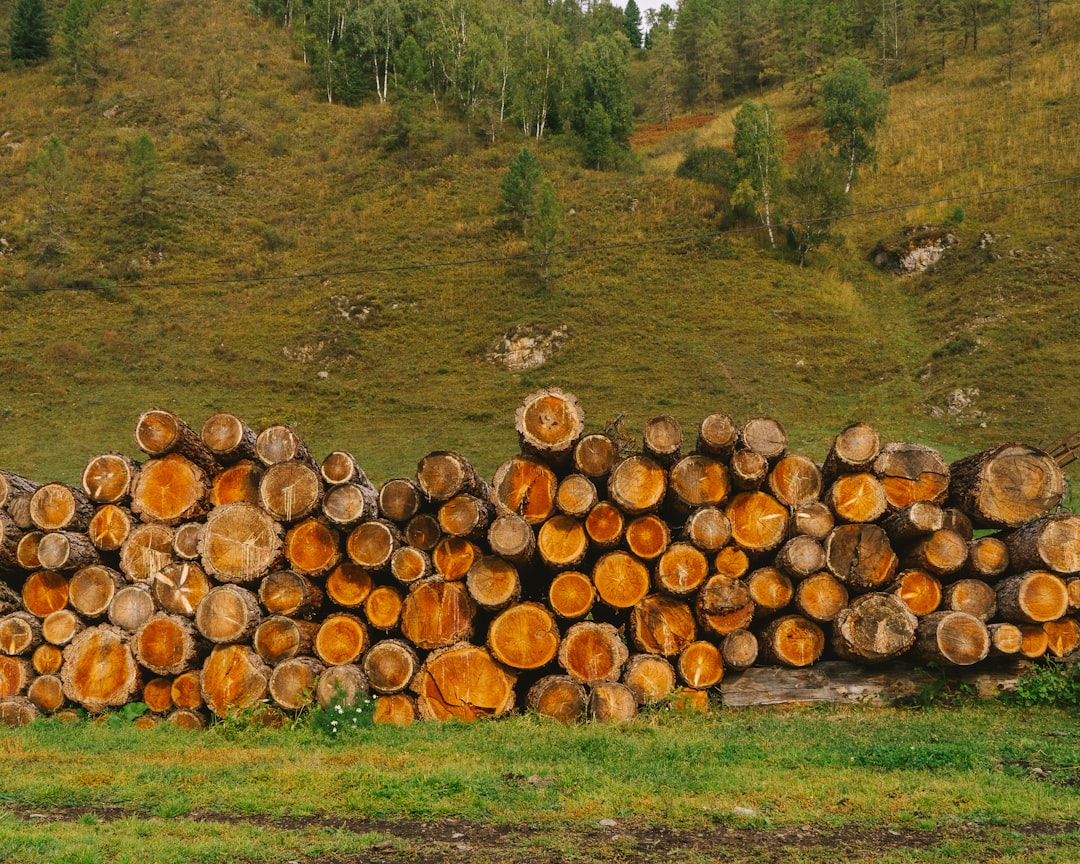 LogAnomaly, monitoring and logging, retention policy