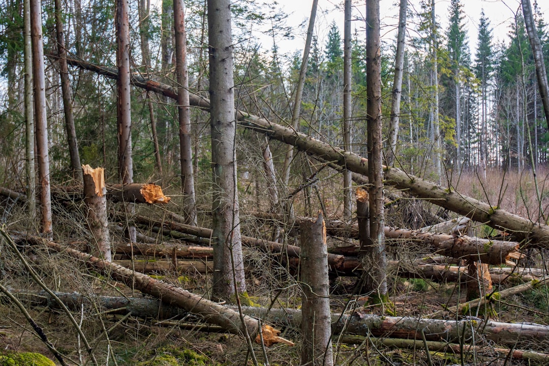 LogExpert, log management, incident response