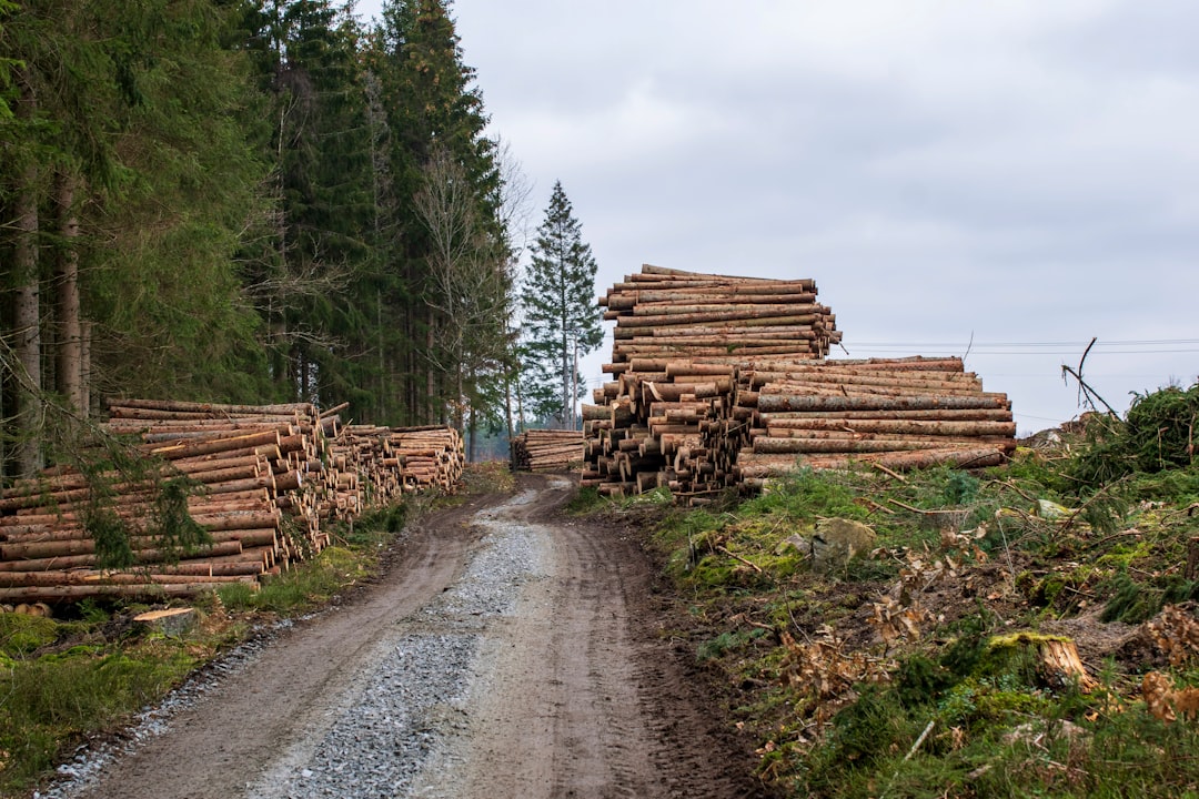 LogFusion, restore points, observability