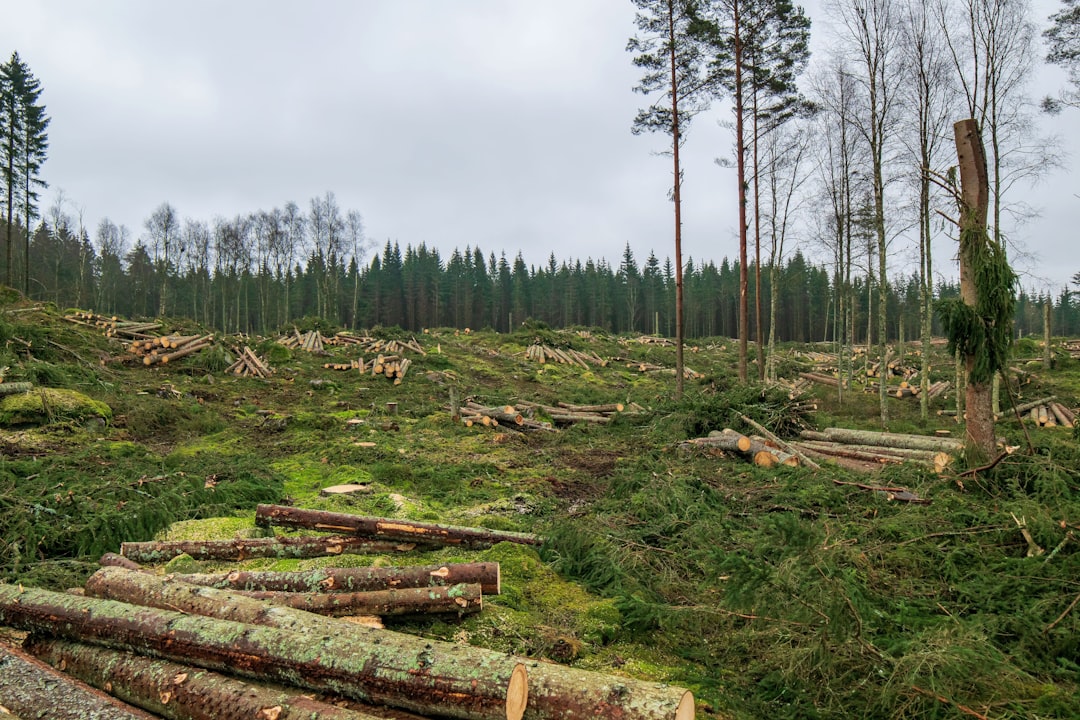 OpenAudit, log management, monitoring