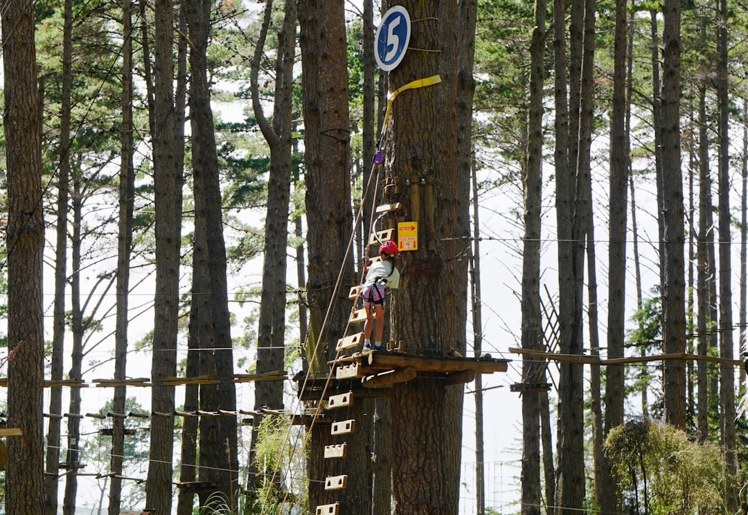 Shinken, encryption, observability