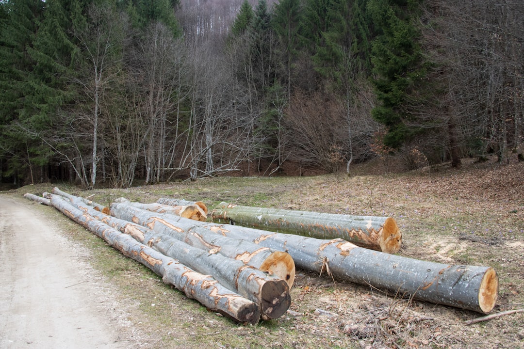 SolarWinds Log Analyzer, observability, secure telemetry