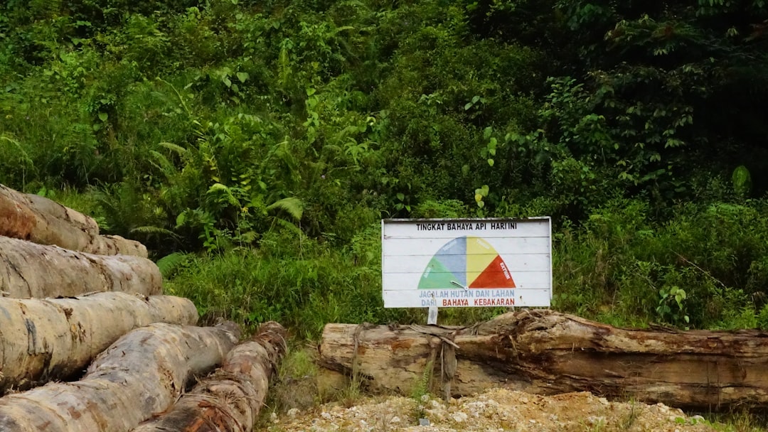 Bleemeo, retention policy, monitoring and logging