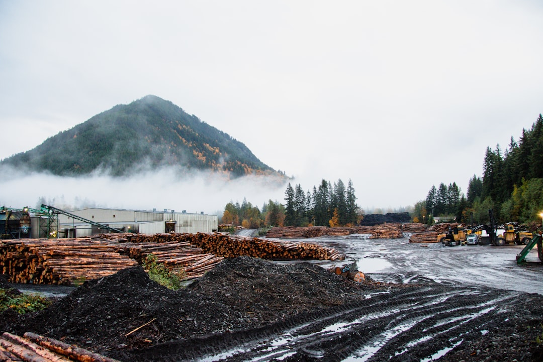 Bleemeo, monitoring and logging, log management