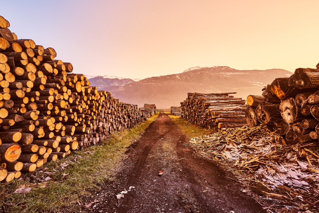 Filebeat, retention policy, snapshots