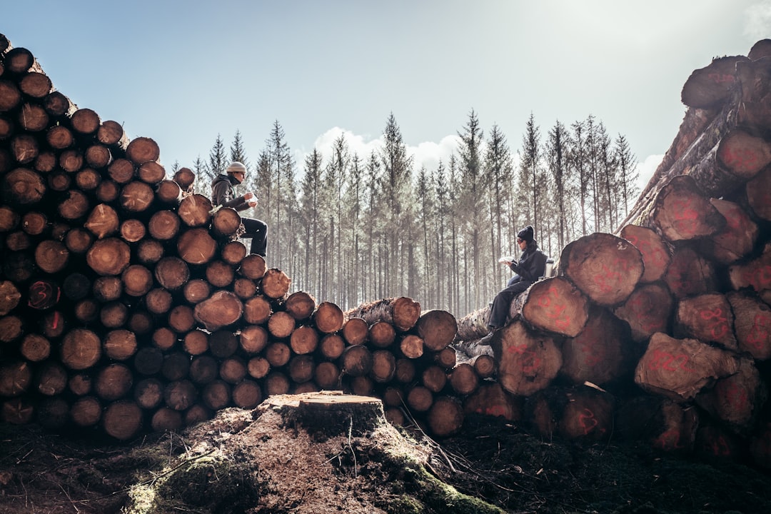 InfluxDB, observability, monitoring and logging