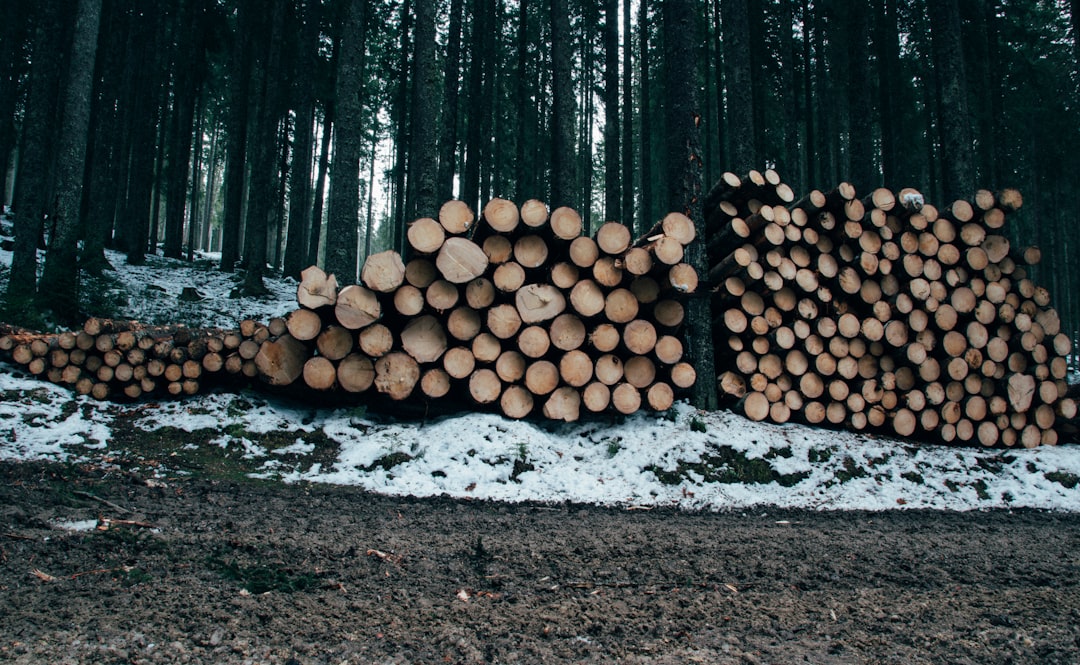 LibreNMS, log management, retention policy